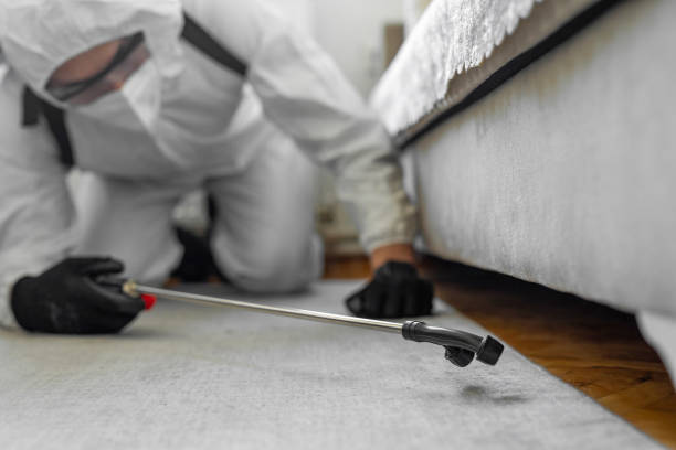 Professional Bed Bug Control technician working in Brown County County, KS